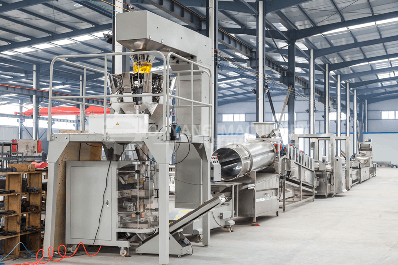 French Fries Processing Production Line