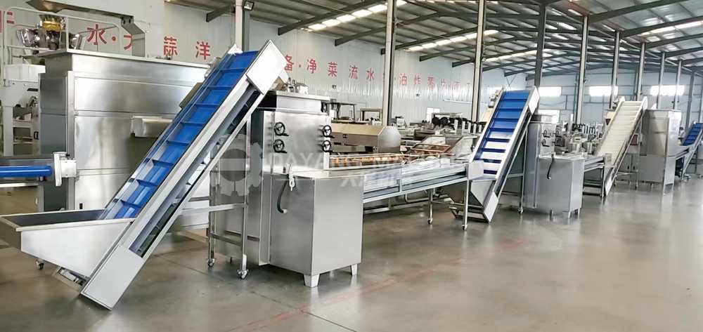 Garlic Processing Production line