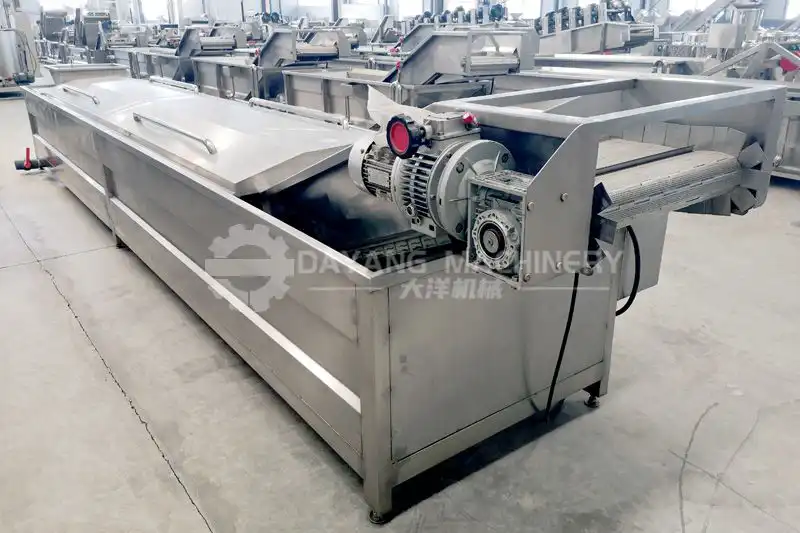 Full Automatic Bananaplantain Chips Processing Line Dayang Machinery 8603