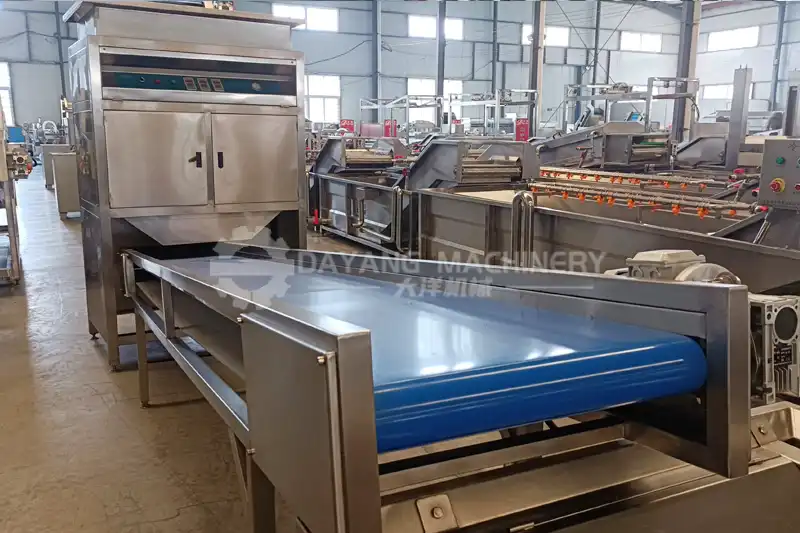 Iran customer buy garlic processing line machines